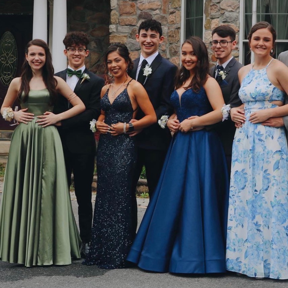 Sparkly Scala Prom Dress 47542